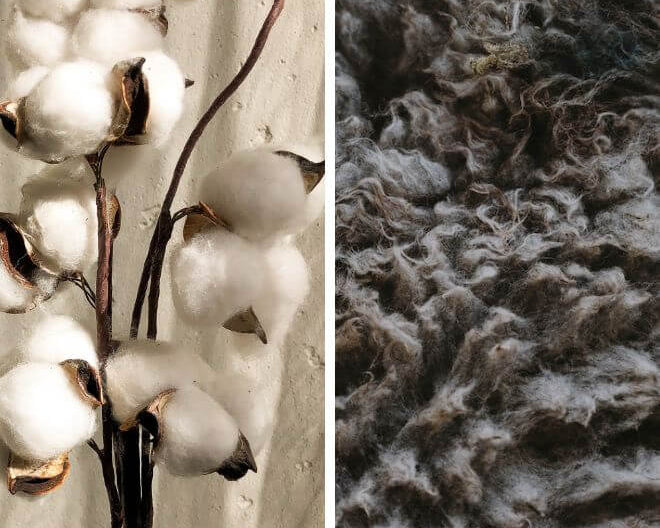 Wool vs Cotton: Is Wool Better than Cotton?