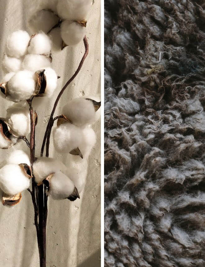 Wool vs Cotton: Is Wool Better than Cotton?